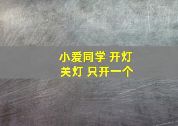 小爱同学 开灯 关灯 只开一个